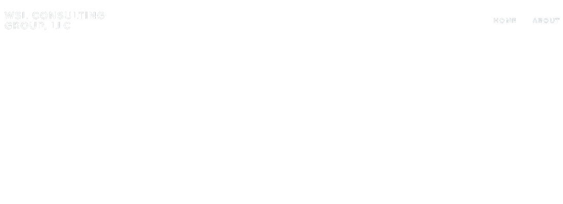 WSL Consulting